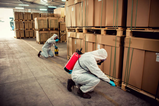 Best Bed Bug Extermination  in Claremont, NC
