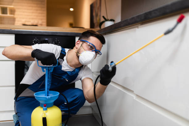 Best Local Pest Control Services  in Claremont, NC
