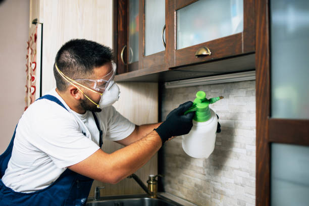 Best Pest Control Near Me  in Claremont, NC