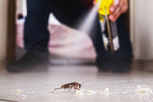 Reliable Claremont, NC Pest Control Solutions