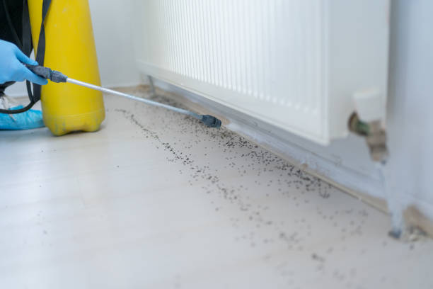 Best Emergency Pest Control  in Claremont, NC