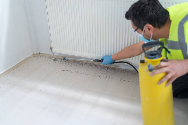 Best Flea Control Services  in Claremont, NC